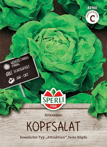 Sperli Salatsamen Attraktion - Hochwertige Gemüsesamen für schossfesten Kopfsalat, Ernte MAI-OKT, Resistente Sorte, Ideal für Gemüsegarten und Gemüseanbau, Samen für frisches Gemüse
