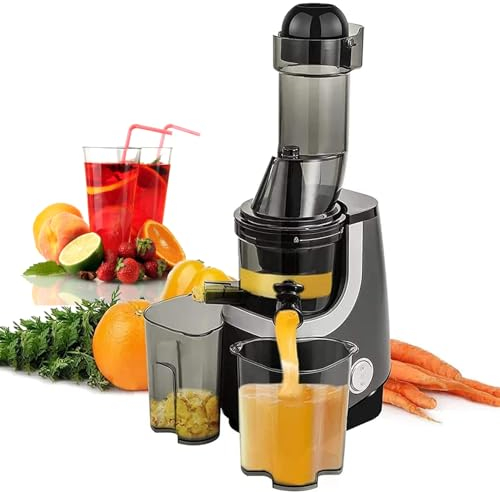 Jrcfnss Estrattore di Succo a spremitura a Freddo, Macchina Professionale a masticazione lenta, estrattore di Succo Verticale in Acciaio Inossidabile per Frutta e Verdura Fresca