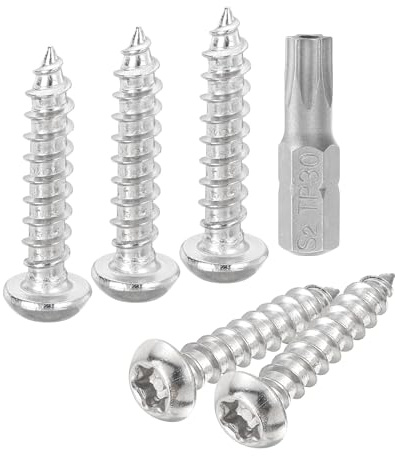 QUARKZMAN 10 Stück Holzschrauben Halbrundkopf Torx Blechschrauben M6 x 30mm Linsenkopfschrauben, 304 Edelstahl Rundkopfschrauben Torx Selbstschneidende Schrauben mit T30 Bit (Silber)