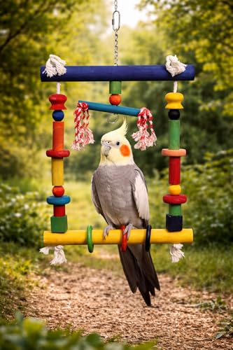 Mega Vogelschaukel Papageienschaukel XXL Holz Vogelschaukel Sitzstange Spielzeug Hängeschaukel