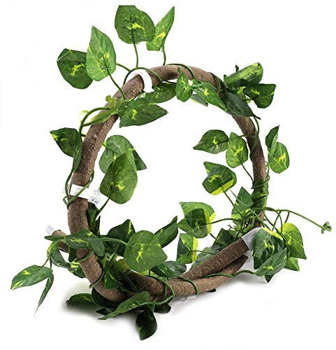 Cikonielf Reptile Vines 3,28 ft Reptile Flexibler Rankhilfe Dschungel Terrarium Rattan Amphibio Habitat Decor mit Saugnäpfen und Blatt für Klettern
