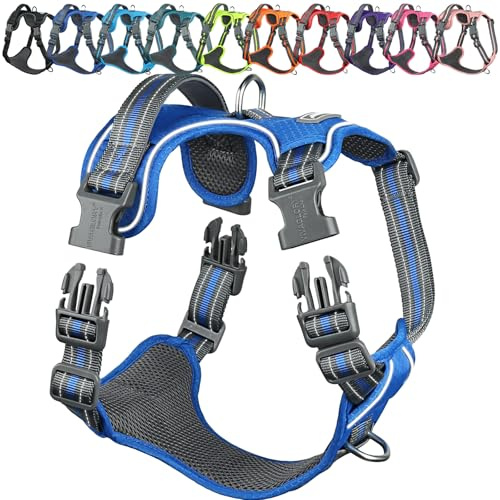 VIVAGLORY Anti Zieh Geschirr für Hunde Hundegeschirr, XS, Royal, A | Antizuggeschirr mit Gepolstert Griff & Brustring, Anti Zieh Mitwachsend Ausbruchsicher & Reflektierend für Welpe Hund