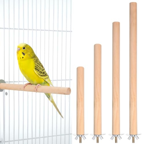Quilax 4 Stück Natur Sitzstangen, Natur Holz Vögel Sitzstangen, Wellensittich Spielzeug Zubehör, für Vogelkäfige, Vogelschleifklauen Klettern Stehend Vogelkäfig Zubehör