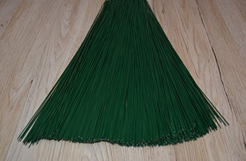 H&R GmbH Steckdraht, Stützdraht, Basteldraht, Gerbera Draht grün lackiert, 1,00x300mm