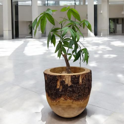 Mango Holz Übertopf Ø 40 cm | Handgefertigter Blumentopf aus Massivholz | Nachhaltiges Design für Wohnzimmer & Büro | Einzigartige Holzmaserung | Naturprodukt (Ø 40 cm)