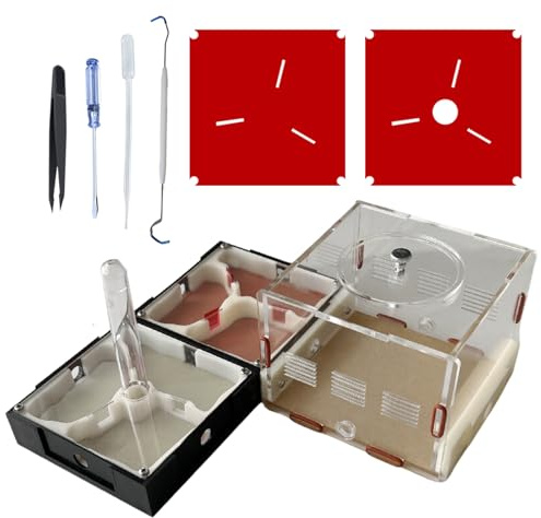 Ants Footsteps Ant Farm Nest STEM Science Learning Kit DIY Terrarium Kit Care for Live Ants Ant Habitat with Water Tower Nurturing Room and Comprehensive Observation-Set 3