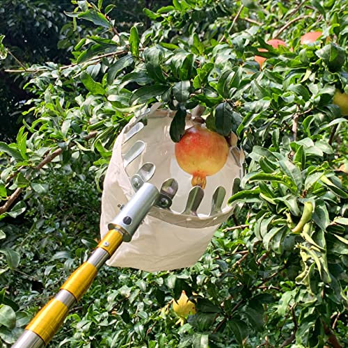 LekLai Obstpflückerkorb, Obstpflückerstange Mit Teleskopstiel, Obstbaumpflücker, Apfelpflücker-Obstpflückwerkzeuge Für Birnenzitrone, 2,5 M/8,2 Fuß/4M/13Ft