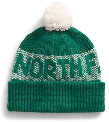 The North Face Herren Beanie-Mütze Retro Cabin