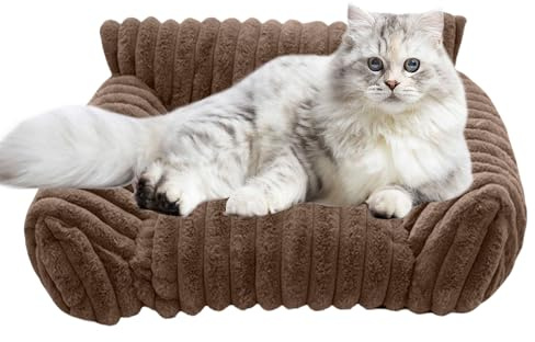 Katzensofa Bett - Plüsch Couch, erhöhte Lounger | 60x Weichmöbel Sitz für Haustiere Reisen Apartment Balkon Auto Innen Wohnzimmer gemütlicher Rastplatz Hunde Katzenbett S