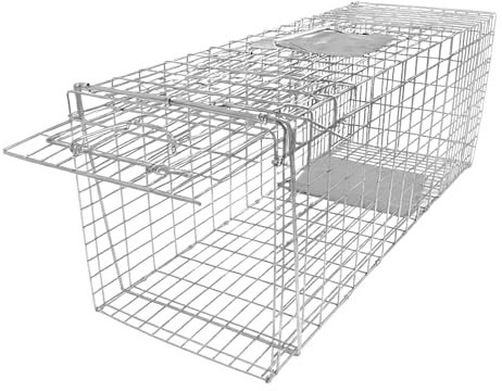 EVGTTI 31 Live Animal Cage Trap, Heavy Duty Folding Raccoon Traps, Humane Cat Trap for Stray Cats, Raccoons, Squirrel, Skunk, Mole, Groundhog, Armadillo, Rabbit