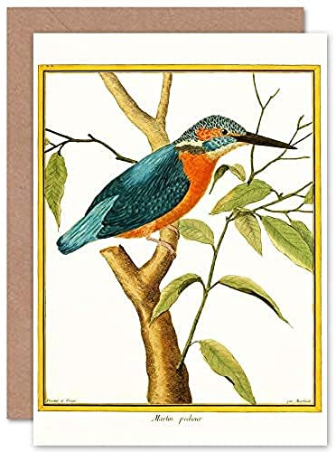 Fine Art Prints Bird Common Kingfisher Martin Pecheur Greeting Card With Envelope Inside Premium Quality