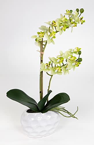 Seidenblumen Roß Orchidee Real Touch 38x22cm in weißer Keramikvase GA Kunstblumen künstliche Blumen (grün)