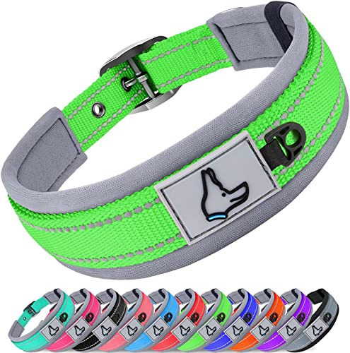 Joytale Halsband Hund, Weich Hundehalsband Gepolstert Neopren Hunde Halsband für Mittelgroße Hunde, Nylon Reflektierend Breit Halsbänder, Grün