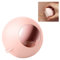 Rouleau anti-peluches et poils d’animaux réutilisable avec gel collant, pour vêtements, canapés, tapis, lit (rose)