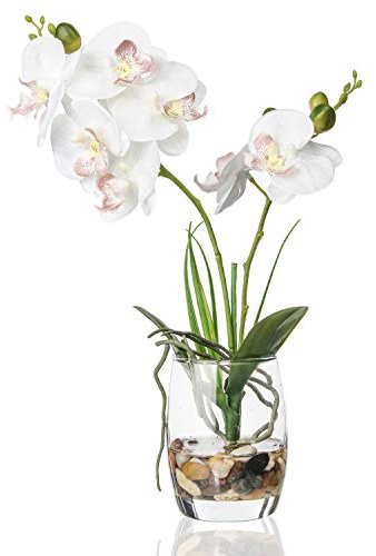 Alyphyly Bonsái artificial con jarrón de cristal, arreglos florales de orquídeas vívidas, maceta para decoración del hogar, oficina, centro de mesa, decoración de casa (jarrón de cristal/orquídea
