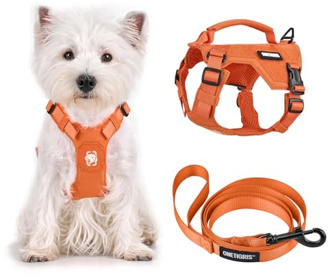 OneTigris Hundegeschirr Kleine Hunde mit Leine(150cm), MINI Trooper Welpengeschirr mit Steuergriff und 2 Abschlepppositionen für Kleine Hunde, Orange XXS