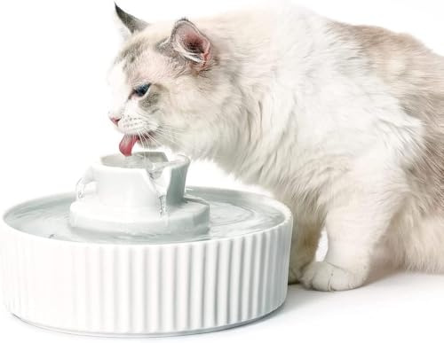 Katzenbrunnen Keramik, 2.1L Trinkbrunnen für Katze Keramik, Leise Wasserspender Wasserpumpe mit Baumwolle Aktivkohle Filter, Katzenbrunnen für Mehrere Haustiere Trinken, Weiße