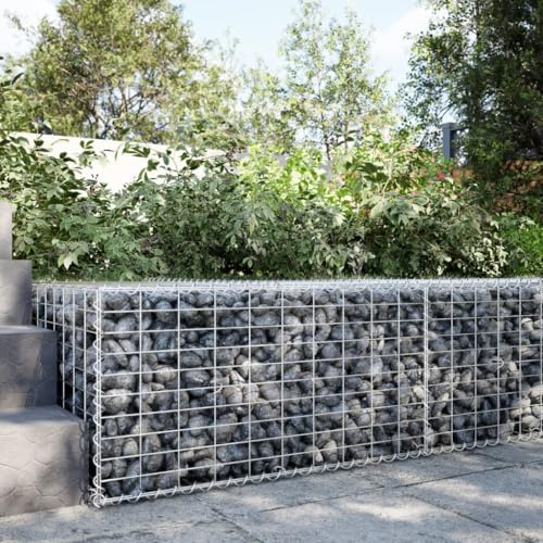 Jardinière surélevée et stable, pour l'extérieur, gabion avec couvercle, 100 x 100 x 50 cm, en fer galvanisé, pour jardinerie, terrasse, balcon, jardin d'hiver