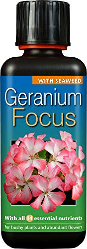Geranium Focus concentrated fertiliser 300ml