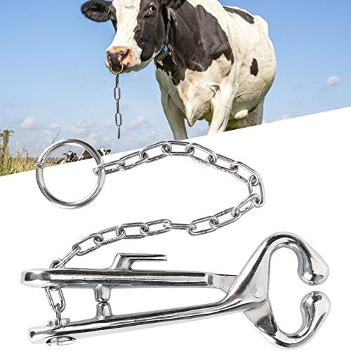Kuh Nasenzange, Edelstahl Rinder Nasenring, Home Farm für Rinder Kuh