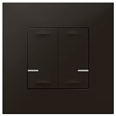 Comando Doble de iluminacion inalambrico Legrand 741872 serie Valena Next with Netatmo color Dark