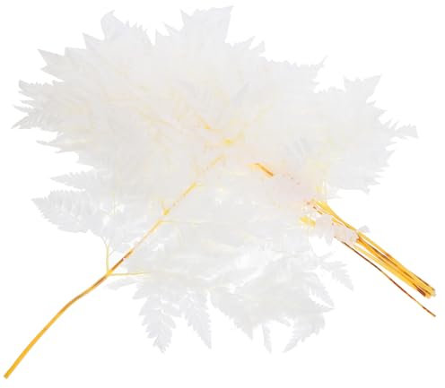 STOBAZA Dekobündel Getrockneter Pflanzen Für Zuhause DIY Blumenarrangement Dekor Natürliche Pflanzenschmuck Zum Basteln Geeignet Für Rustikale Und Bäuerliche Dekorationsstile Als Geschenk