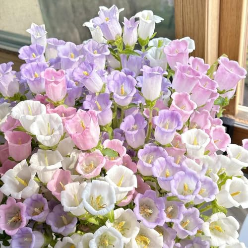 glockenblumen winterhart - garten balkon stauden 200samen