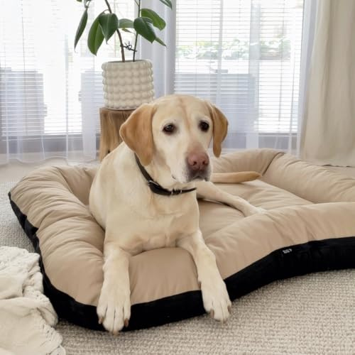 4L Textil KLEO Hundebett mittelgrosse Hunde waschbar Hundekissen mittelgrosse Hunde Hundematte Hundematratze Hundekissen XXL (M-90x70 cm, Beige(Mit Reißverschluss))