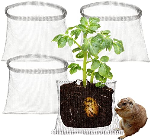 LEMCC 4 Stück Wurzelschutz aus Edelstahl für Pflanzen, 61 x 61 cm, Wurzelschutz, Körbe für Wühlmaus und Wühlmaus-Drahtkörbe für Pflanzen, Beeren, Gemüse, Wurzelschutz, Silber