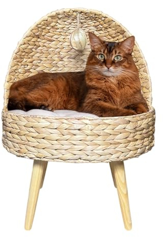 Le Condo Chic Throne pour Chat Tressé à la Main Panier Artisanal en Jacinthe d’Eau Trône élevé sur Pieds en Bois Lit en Fibre Naturelle pour Petit Chien Design Original avec Coussin 42x36x56 cm