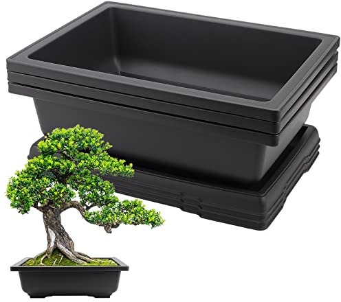 HEIHAK Confezione da 3 vasi per bonsai grandi da 30 cm, rettangolari in rete di plastica per bonsai con vassoi, fioriera per bonsai per piante da fiori, per giardino, cortile, ufficio, stanza, balcone
