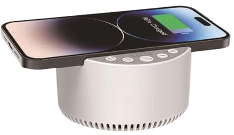 Chargeur sans fil, haut-parleur, machine à son de sommeil, station de charge 15 W, station de charge audio pour voyage, affaires, hôtel, chambre à coucher, fête d'étude, 10 x 10 x 5,7 cm