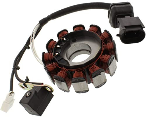 JMP Lichtmaschine Stator für Aprilia Atlantic 125 UVM. Motorrad