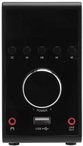 Digital Stereo Sound Amplifier, 200W 5.0 USB BT Coaxial Amplifier, Clear Sound for 4K TV (Black)