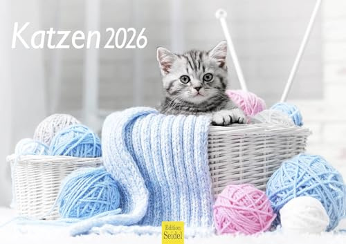 Edition Seidel Premium Kalender Katzen 2026 DIN A3 Wandkalender Katzenkalender Katze Kater Katzenkinder süße Kätzchen Tiere Haustiere