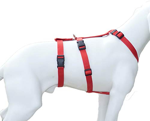 Hoffmann NoExit Hundegeschirr ® - Sicherheitsgeschirr für Pflegehunde, Panikgeschirr, No Escape - Unifarben Rot, Bandbreite 15 mm