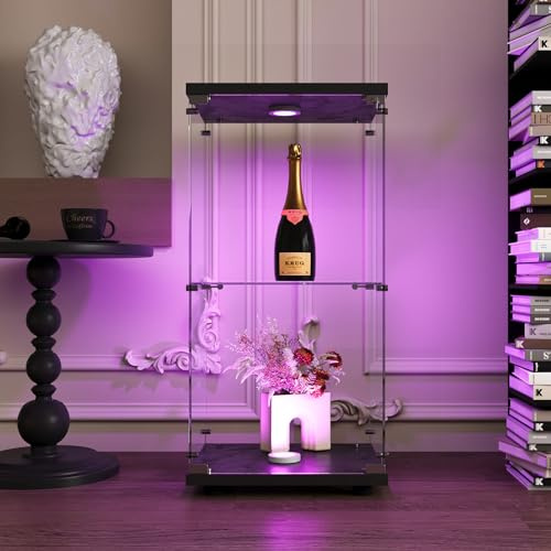 UnboxGermany Vitrine auf Fuß aus Glas, Sammlervitrine – 2 Schichten – 1 Tür – LED – für Wohnzimmer, Schlafzimmer, Büro – Schwarz
