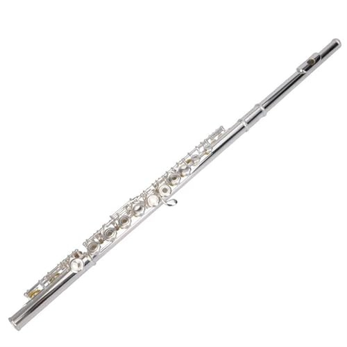 Schülerflöte 17 Tasten 16 Tasten Flöte Professionelle Flöte Musikinstrument Tragbare Anfänger Standard Flöte(Style 2)