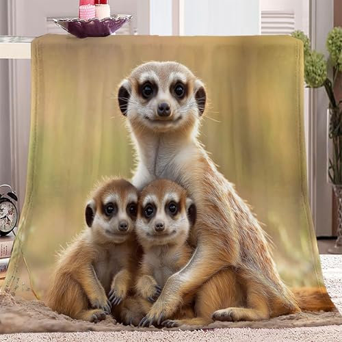 Kuscheldecken Erdmännchen-Mutter mit Jungen Weich Bequem Decke Gelb 3D-Digitaldruck Flanelldecke 200 x 220 cm Weich Wohndecke Sofadecke Decken für Jungen, Mädchen Erwachsene