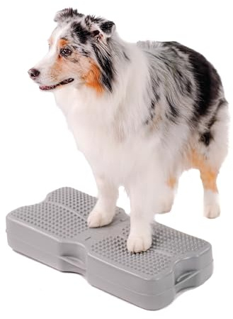 Blue-9 Propel Air Platform Kit, Professionally Designed Dog Training Accessories and Pet Products, Made in The USA, Gray