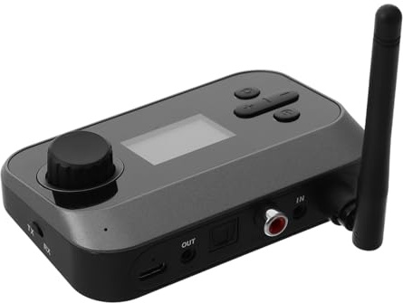 DOITOOL Ricevitore Audio Portatile con Display LCD Ingresso Ottico e Coassiale Adattatore Wireless per Impianti Stereo e Auto