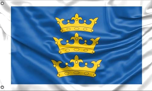 Bandera del Señor de Irlanda 1386-1541 | Impresión de diseño único | 90 x 150 cm
