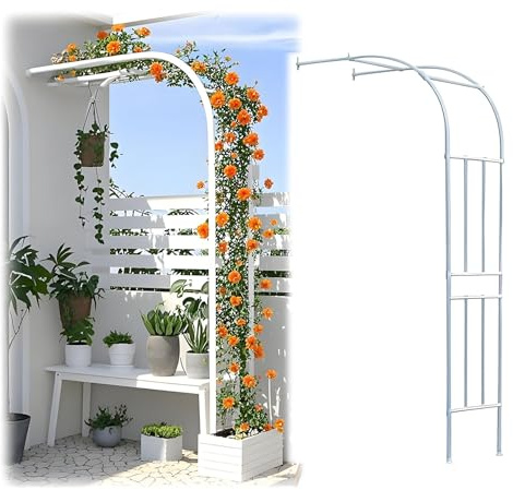 Arcade Demi de Roses Montage Mural, Arche de Jardin en Métal, Soutenir Les Roses et Les Vignes, Design pour Décoration de Jardin Extérieure(White,1.2M*2.4m/3.9FT*7.8FT)
