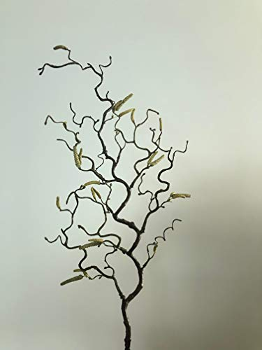 mucplants Haselnusszweig Korkenzieherhasel 70cm künstlicher Zweig Korkenzieherzweig Hasel künstlicher AST Kunstast Kunstzweig