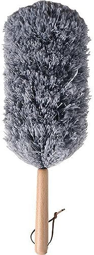 Plumeau de dépoussiérage, plumeau électrostatique de Bureau, plumeau crypté Lavable, Nettoyage de dépoussiérage et Balayage des Cendres domestiques