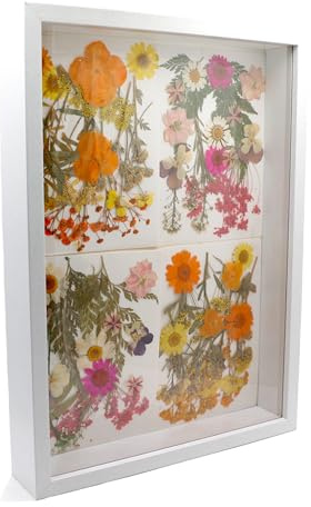 CiciIng 3D-bildram 20 x 29 cm, A4-träbilder ram med transparent akrylplatta, objektram djup för fyllning för foto och blommor, minnessaker gör-det-själv konstverk (vit)