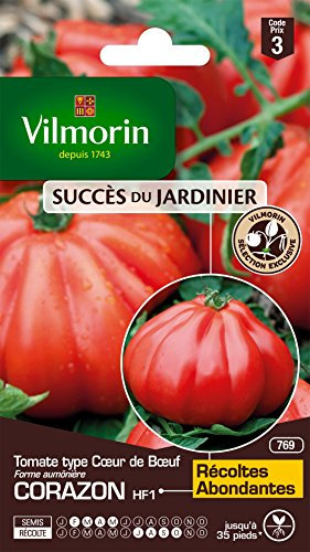 Vilmorin 3977843 Tomate cœur de bœuf Rouge 9 x 0.5 x 16 cm
