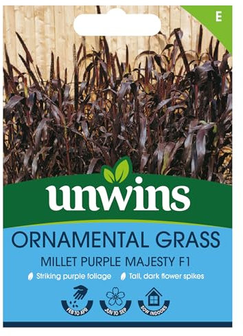 Ornamental Grass (Millet Purple Majesty), Garden Flower Seeds Grow Your Own Colourful Flowers, Attract Butterflies & Bees