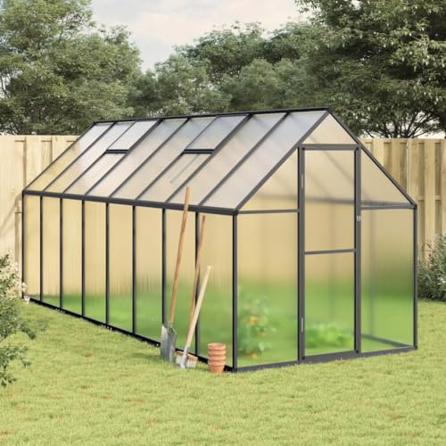 LAPOOH Gewächshaus mit Fundamentrahmen Anthrazit 445x169x195 cm Alu, Frühbeet, Tomatenhaus, Treibhaus, Greenhouse, Garten Zubehör - 3266334