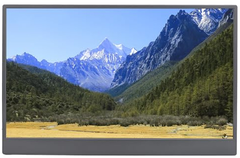 FILFEEL 15.6 Inch Portable Display, 15.6 Inch IPS HDR Portable Monitor, Full HD 1080P USB C Gaming Display, Touchscreen, Stereo Speakers, Aluminum Alloy Body for Laptop PC Phone Switch